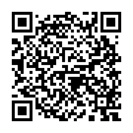 QR code for 94S389