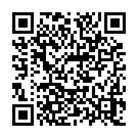 QR code for 950BIZ