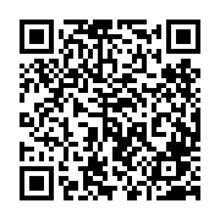 QR code for 950DDV