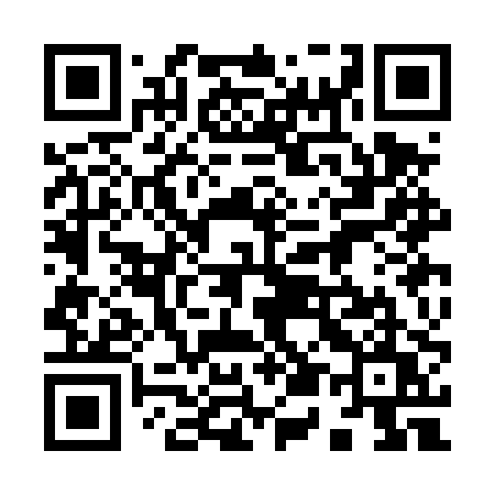 QR code for 953DPU