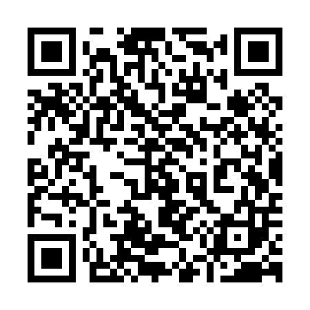QR code for 953P03