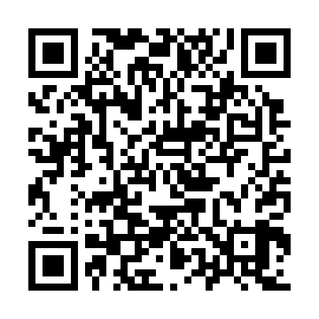 QR code for 953S09