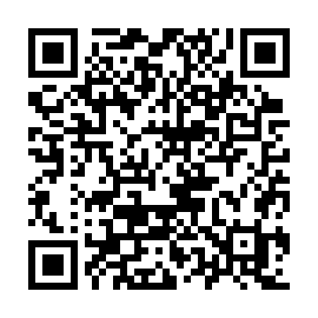 QR code for 953SWI