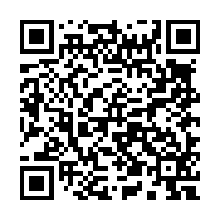 QR code for 955L96