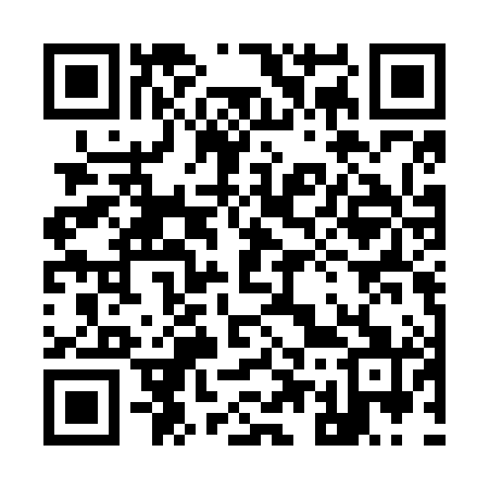 QR code for 955N81