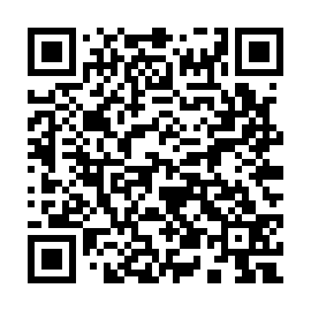 QR code for 955Q33