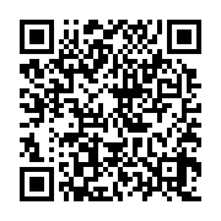 QR code for 955S38