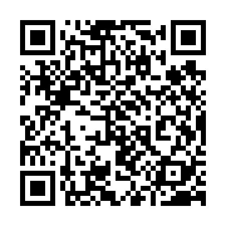 QR code for 955V29