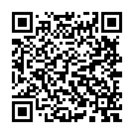 QR code for 958X96