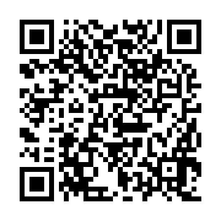 QR code for 95B996