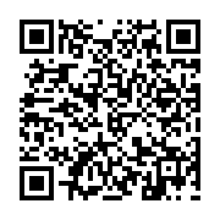 QR code for 95D863