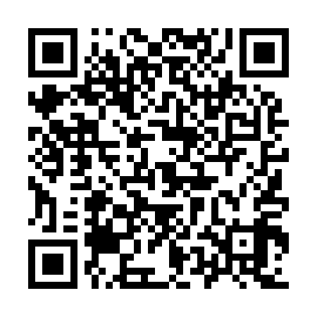 QR code for 95D919