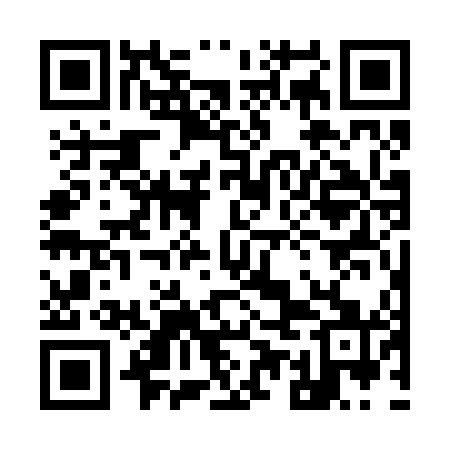 QR code for 95G241