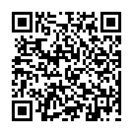 QR code for 95G291