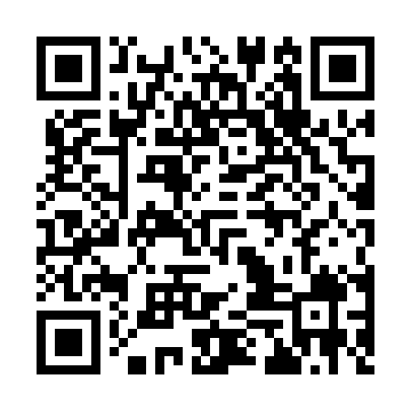 QR code for 95L009