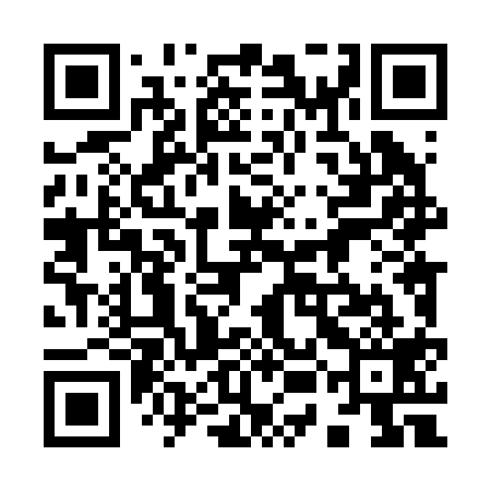 QR code for 95L219