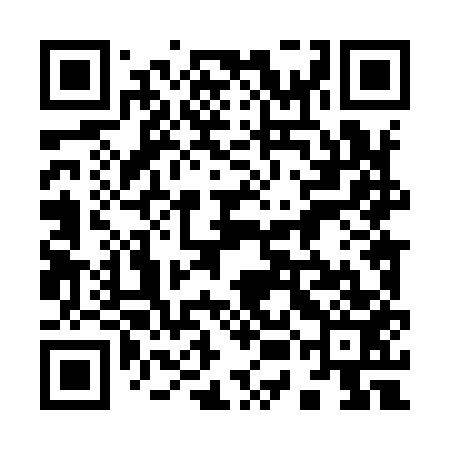 QR code for 95L953