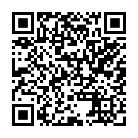 QR code for 95M238