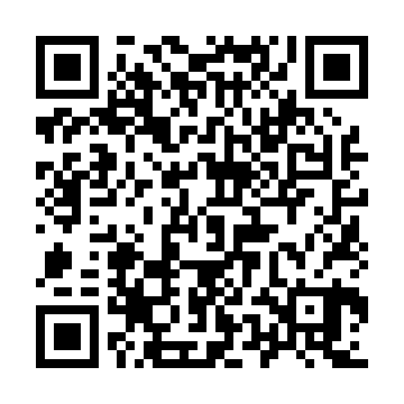 QR code for 95N020