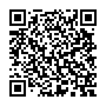 QR code for 95P020