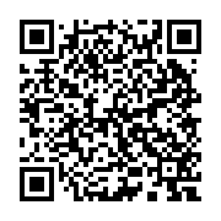 QR code for 95P253
