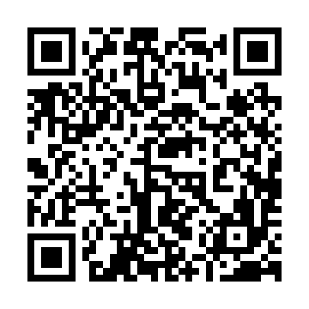 QR code for 95P296