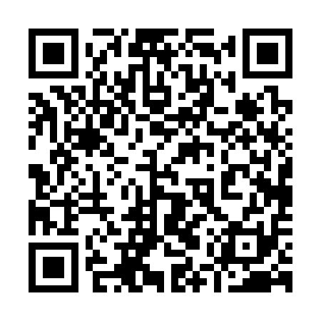 QR code for 95P311