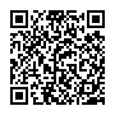 QR code for 95Q611