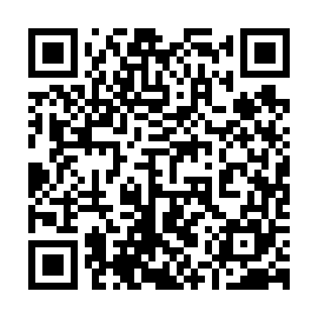 QR code for 95Q665
