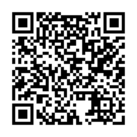 QR code for 95Q941