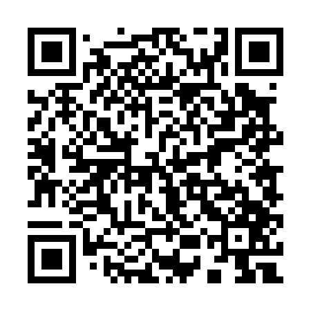 QR code for 95T047