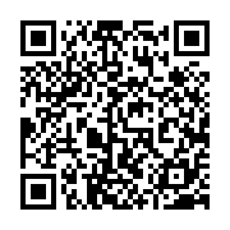 QR code for 95T815