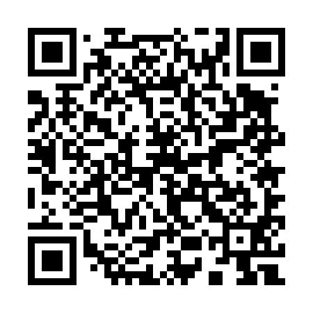 QR code for 95U491