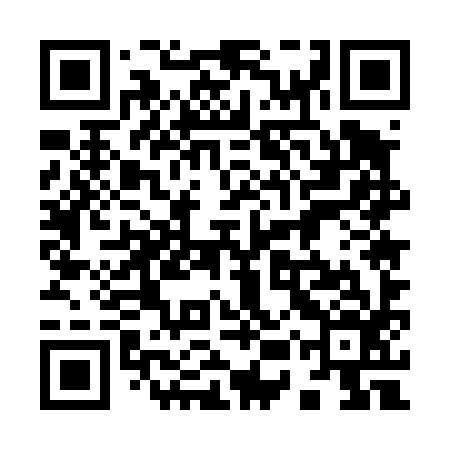QR code for 95U496