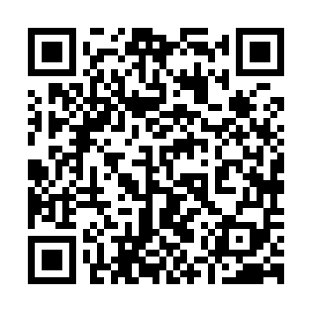 QR code for 95X959