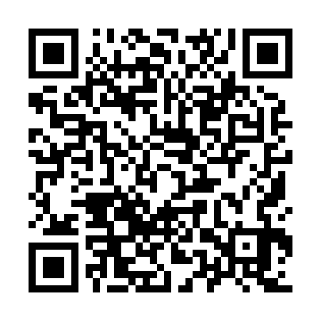 QR code for 95Y833