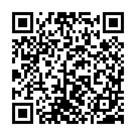 QR code for 95Z003