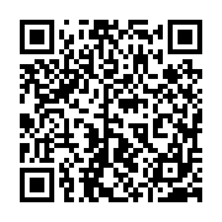 QR code for 95Z217