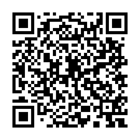 QR code for 95Z511