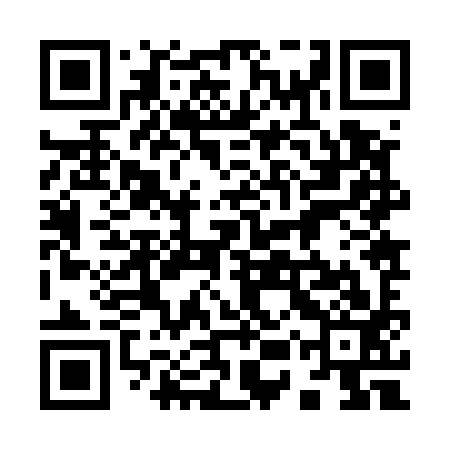 QR code for 95Z593