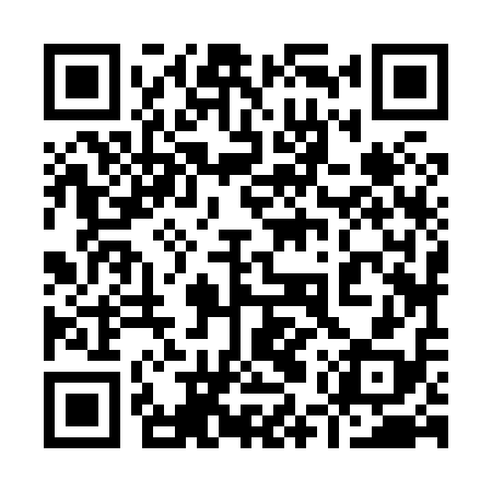 QR code for 95Z818