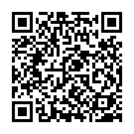 QR code for 961LSI