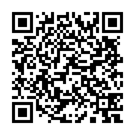 QR code for 963N38