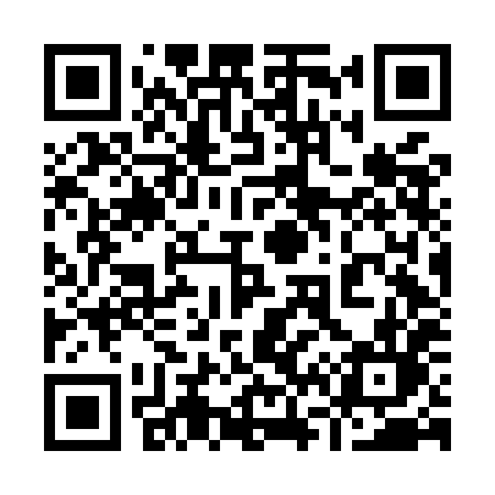 QR code for 966MHL