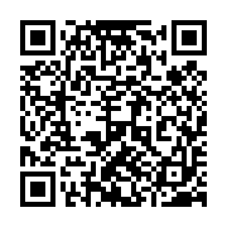 QR code for 96G493