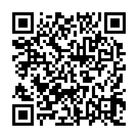 QR code for 96H319