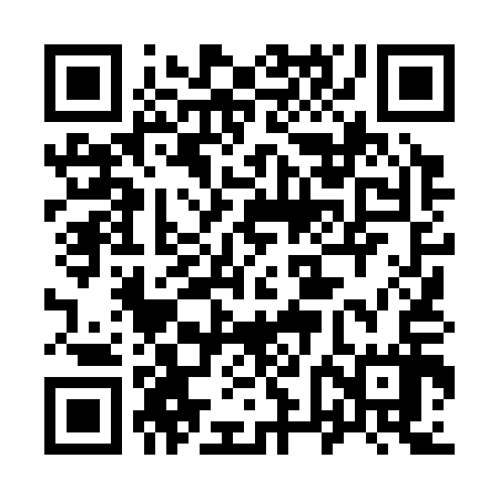 QR code for 96L317
