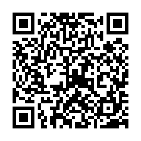 QR code for 96N594