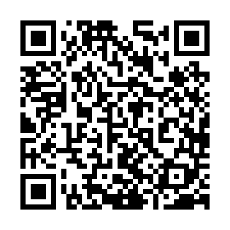 QR code for 96P249