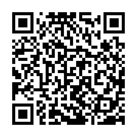 QR code for 96P318